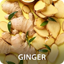 Gınger