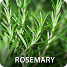 Rosemary